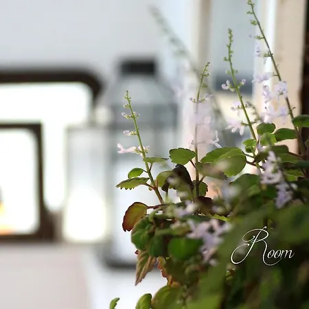 住宿加早餐酒店 尤勒斯尼堡住宿加早餐旅馆 Ullerslev